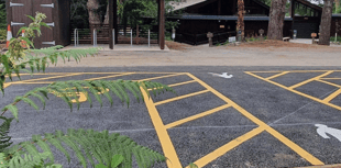 Accessible spaces upgraded as country park improvements continue apace