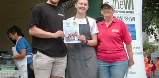 New carnival ice cream flavours revealed