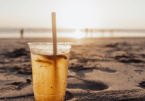 Nine-point plan to reduce Devon alcohol deaths backed by county council