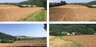 Council raise no objection to proposed 75 home plan