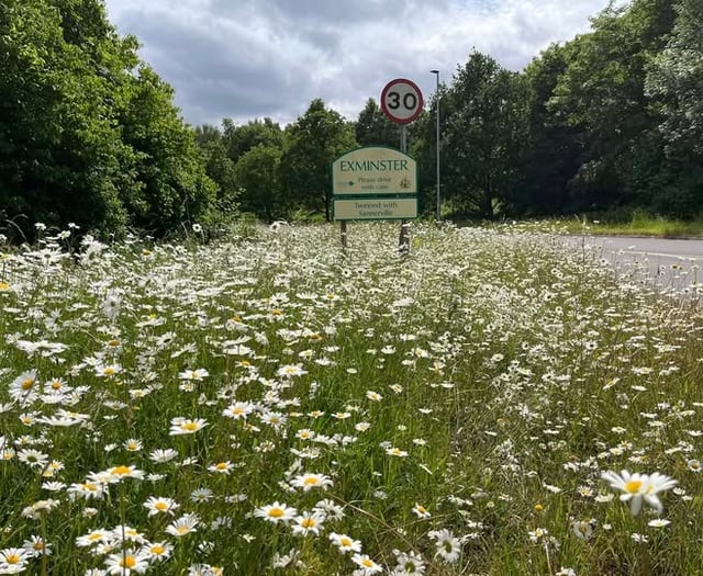 Exminster Residents Hit by Decaying Smell