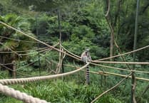 ‘Save our zoos’ plea from Devon MP