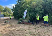 Exminster verges flourish thanks to volunteers