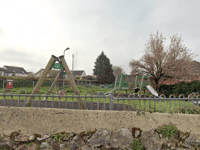 Dog attack: Police seek owner after infant injured