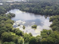 Campaigners urged to make their voices heard