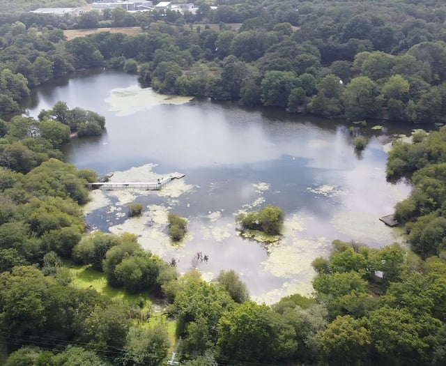 Campaigners urged to make their voices heard