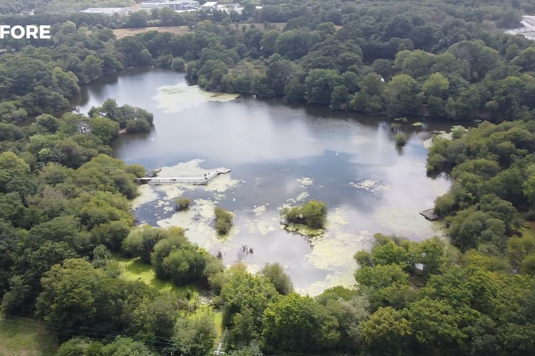 The area subject to the Zitherixon Quarry proposal at Kingsteignton (Image courtesy: Stop The Quarry Expansion - Save Our Trees)