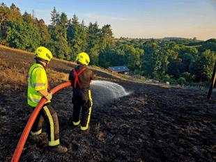 Fire crew help save tree after compost heap sparks field fire 