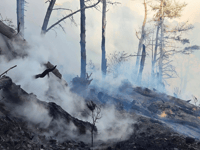 Large scale response to Newfoundland Cove woodland fire 