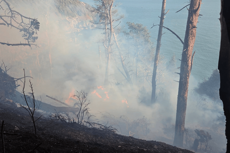 Fire at Newfoundland Cove