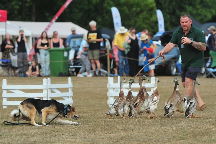 Christow Show