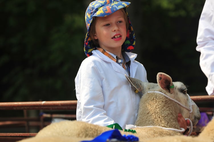 Christow Show