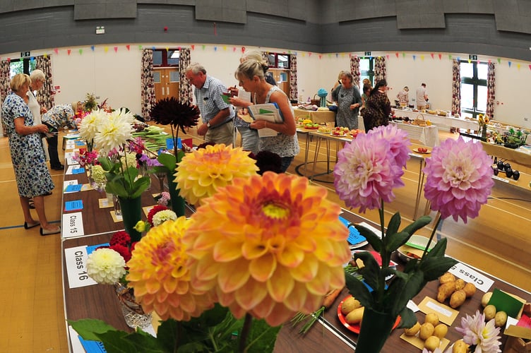 Christow Show