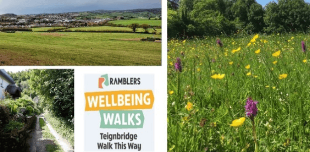 Join free wellbeing walks in village
