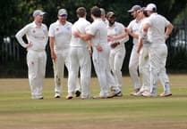 South Devon CC administer a derby day defeat to Ipplepen 2nd XI