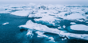 Temporary slowdown in melting of Arctic sea ice, study finds