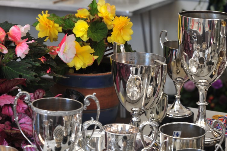 Bovey Tracey Garden Club Summer Show