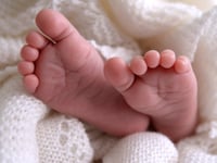 Fertility rate falls in Teignbridge – as it reaches new record low in England and Wales