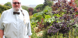 The first 100 days of Devon’s decisionmakers