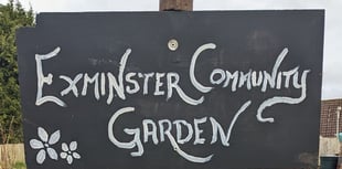 Community garden hosts plant sale 