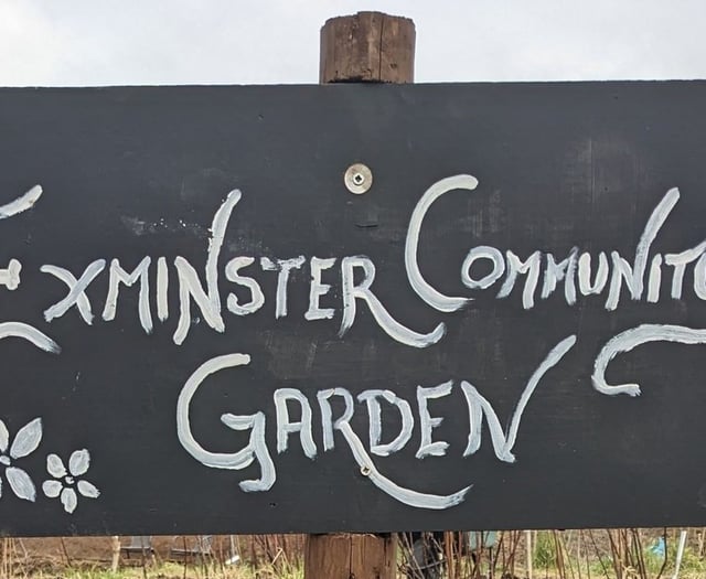 Community garden hosts plant sale 