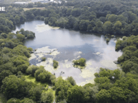 Woodland temporarily protected amid quarry protests
