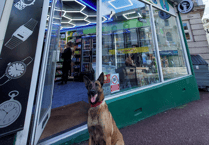 Police shut six Torbay shops in one day
