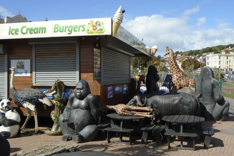 Safari animals at the cray golf in Dawlish. Photo Colin Homewood 