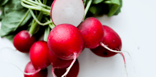 Study shows plastic particles accumulate in edible parts of vegetables