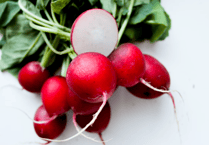 Study shows plastic nanoparticles accumulate in edible parts of vegetables