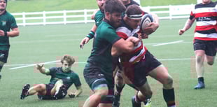 Teigns living dangerously in their division