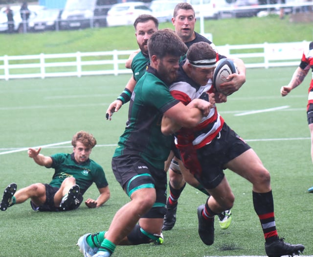 Teigns living dangerously in their division