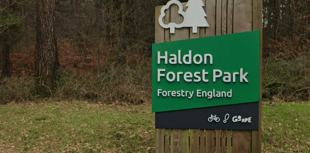 Join the magic at Haldon Forest Park!