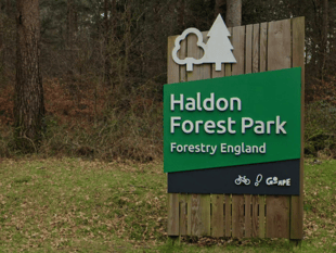 Join the magic at Haldon Forest Park!
