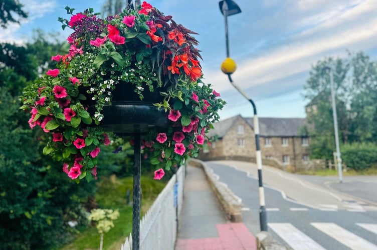 Bovey In Bloom 2025