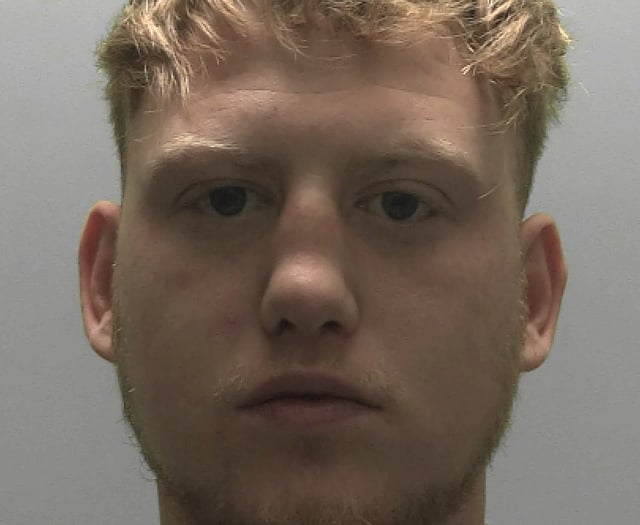 Thug jailed for violent attacks