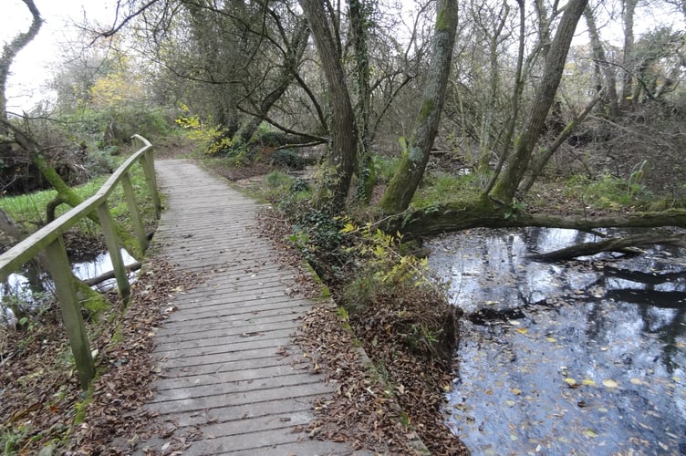 The old footbridge at Stover Canal. Photo Stover Canal Trust 