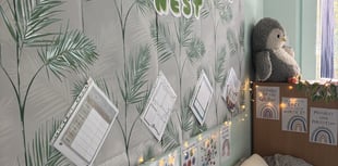 Teign School opens ‘The Nest’ support hub