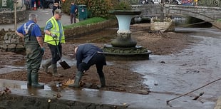 Dawlish volunteers protect swan nest