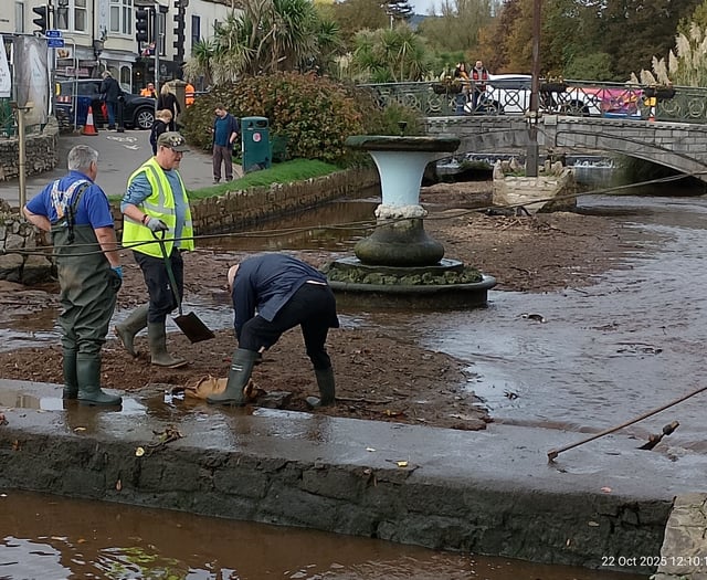 Dawlish volunteers protect swan nest