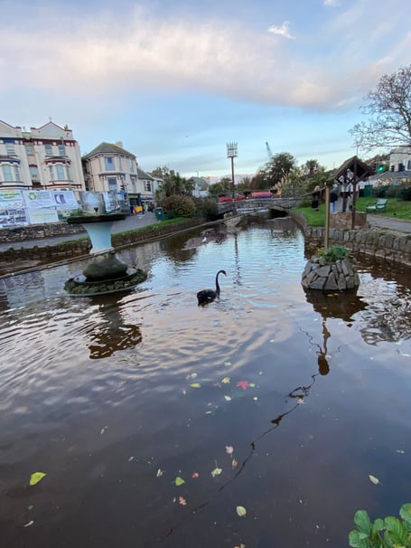 After Storm Benjamin in Dawlish. Photo WADE