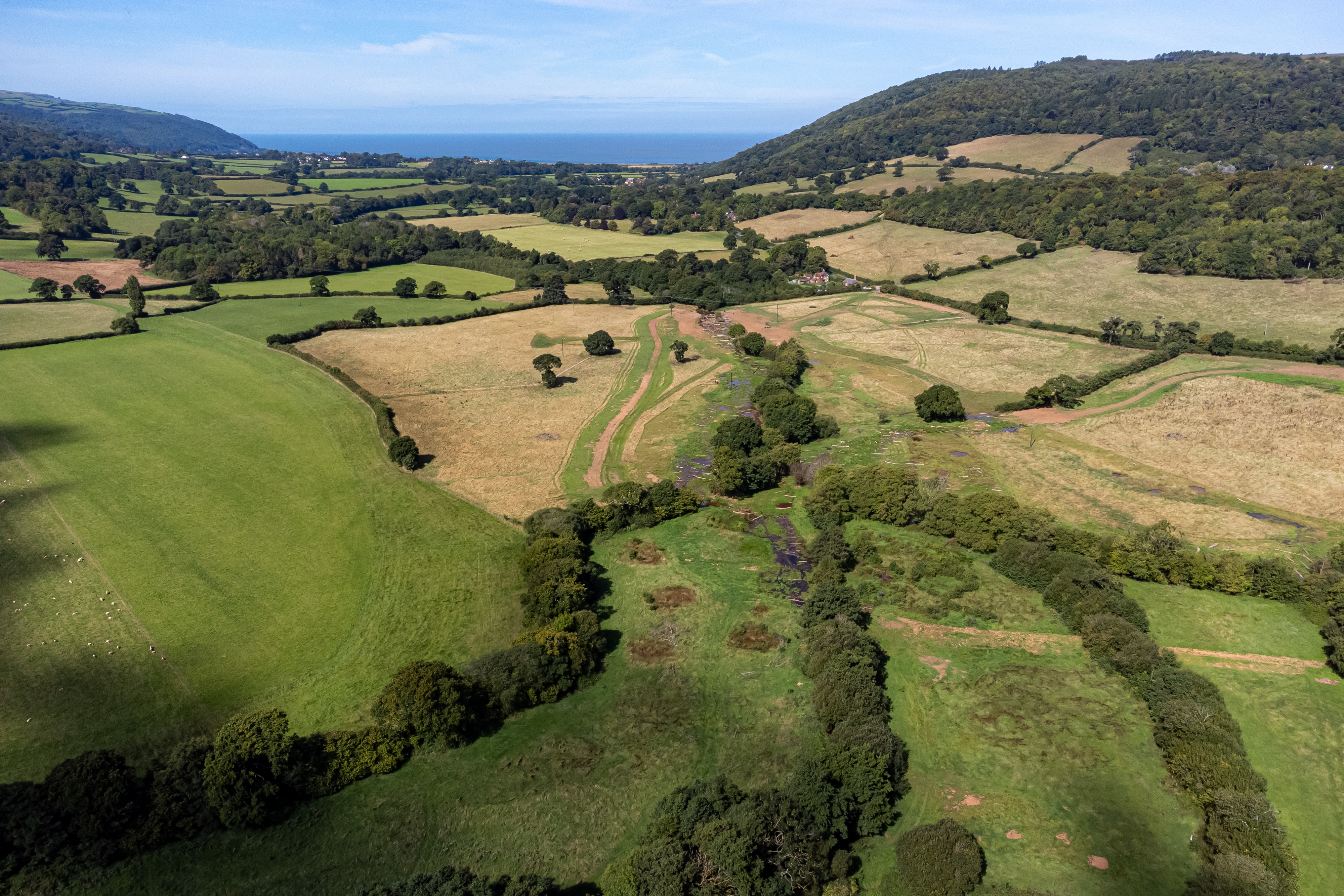 More green space in Central Devon than English average