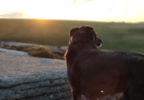 Dartmoor tops haunted Halloween dog walks list