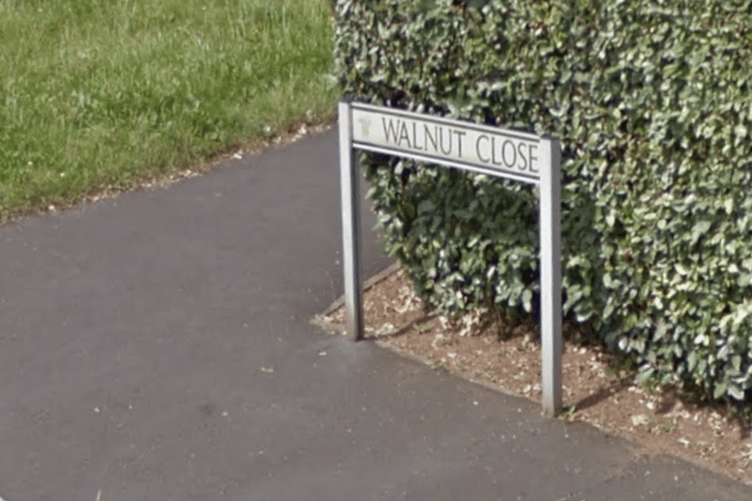 Walnut Close, Exminster