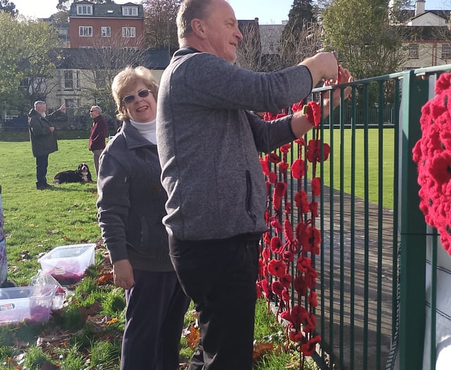 Dawlish Poppy Wall Tribute