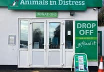 Rev Comps' £3,000 gift to Ipplepen animals