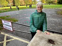 Hedges to deter travellers