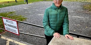 Hedges to deter travellers