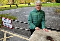 Trees planted in Bovey Tracey to keep travellers out