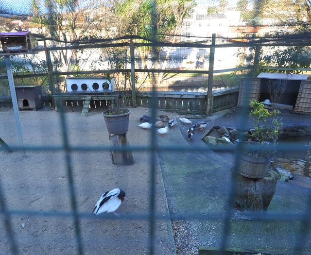 Flu-hit aviary shut for 12 months 